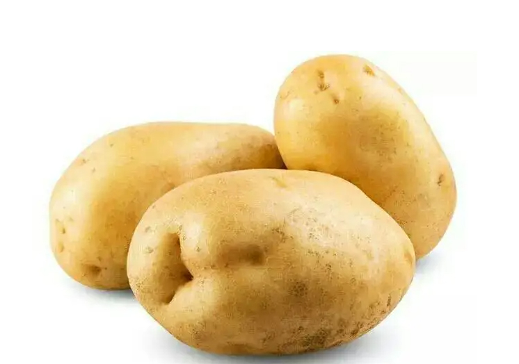 Potato